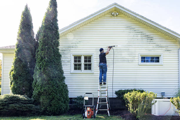 Best Affordable Power Washing  in Oak Grove, MS